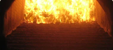 Biomass Energy
